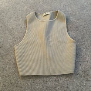 Babaton tank top from Aritzia